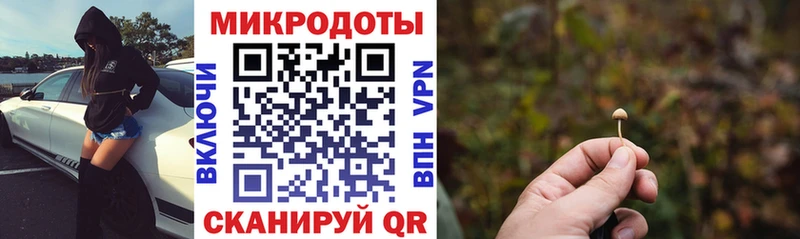 МЕГА вход  Арамиль  Псилоцибиновые грибы Cubensis 